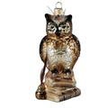 The Scholar Owl