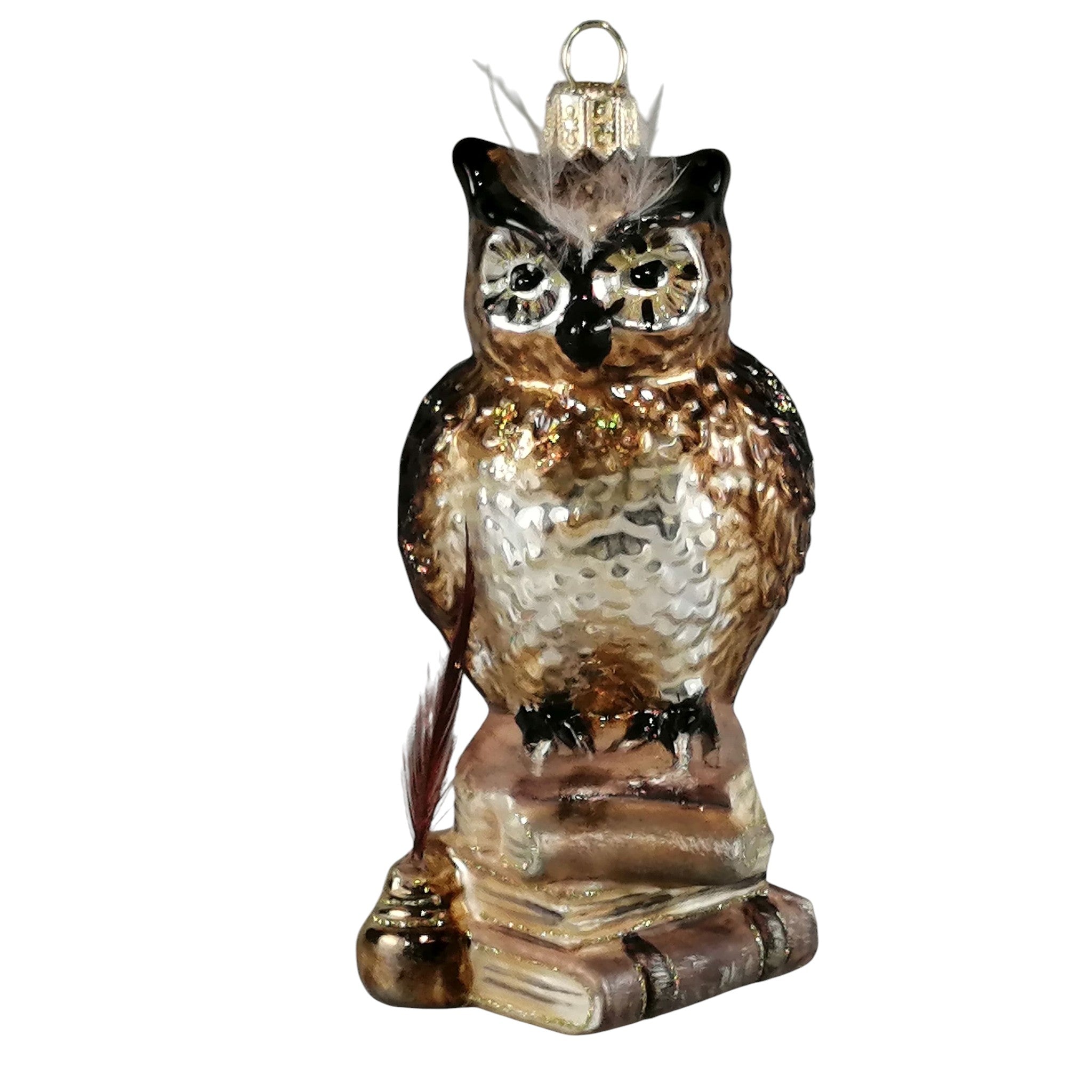 The Scholar Owl